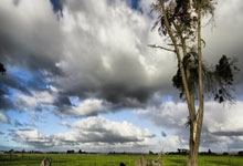 九游会网址 -包含里昂内部会议纪要流出：转会期豪取连胜，英超使命明确，训练强度明显提升的词条